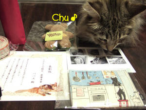 DSCF7956_edited-1.jpg