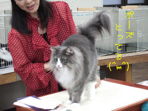DSCF7996_edited-1.jpg