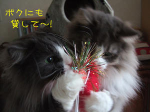 DSCF8028_edited-1.jpg