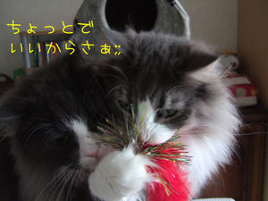 DSCF8027_edited-1.jpg