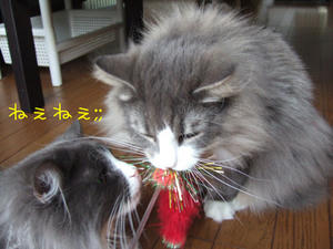 DSCF8050_edited-1.jpg