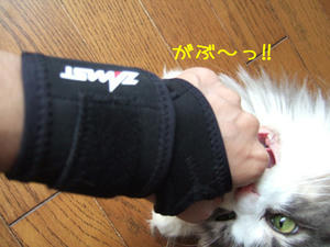 DSCF8054_edited-1.jpg