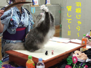 DSCF8098_edited-1.jpg