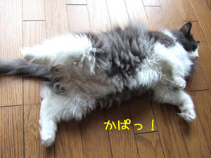 DSCF8109_edited-1.jpg