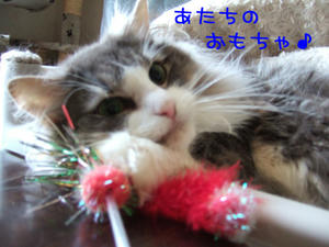 DSCF8134_edited-1.jpg