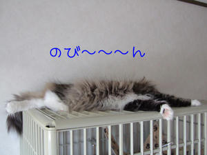 DSCF8136_edited-1.jpg
