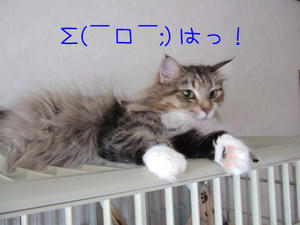 DSCF8137_edited-1.jpg