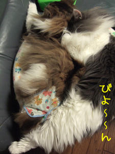 DSCF8143_edited-1.jpg