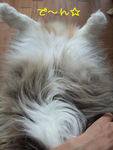DSCF8152_edited-1.jpg