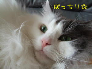 DSCF8183_edited-1.jpg