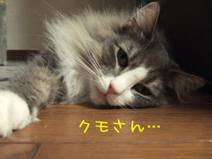 DSCF8145_edited-1.jpg