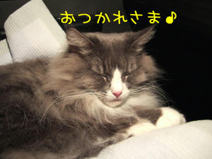 DSCF8249_edited-1.jpg