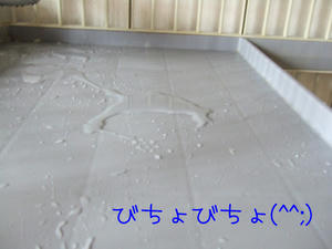 DSCF8326_edited-1.jpg
