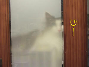 DSCF8317_edited-1.jpg