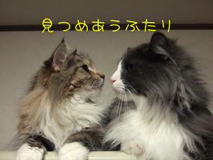 DSCF8359_edited-1.jpg