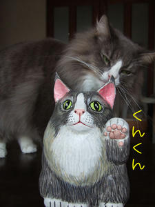DSCF8412_edited-1.jpg