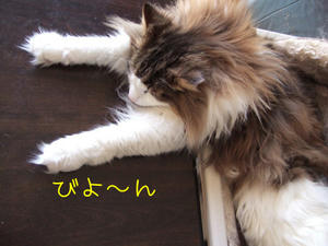 DSCF8436_edited-1.jpg