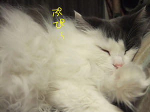 DSCF8313_edited-1.jpg