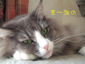 DSCF8530_edited-1.jpg