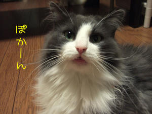 DSCF8375_edited-1.jpg