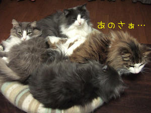 DSCF8595_edited-1.jpg
