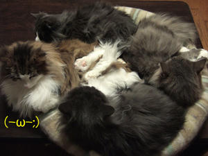 DSCF8598_edited-1.jpg