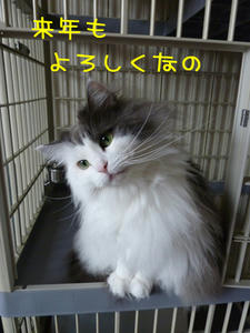 P1000026_edited-1.jpg