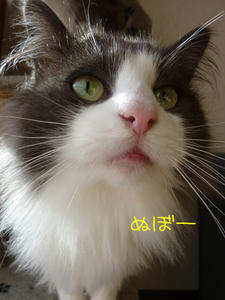 P1000045_edited-1.jpg