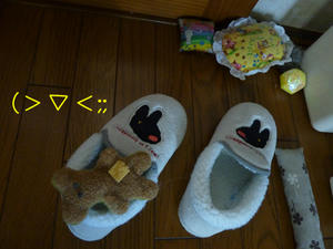 P1000065_edited-1.jpg