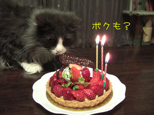 DSCF8619_edited-1.jpg