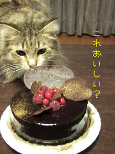 DSCF8627_edited-1.jpg