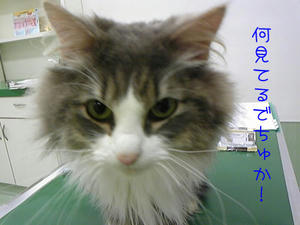 100202_201240_edited-1.jpg