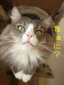 P1000043_edited-2.jpg