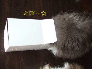 DSCF8657_edited-1.jpg