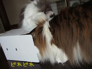 DSCF8659_edited-1.jpg