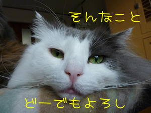 P1000081_edited-1.jpg
