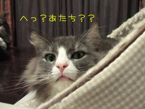 DSCF8668_edited-1.jpg