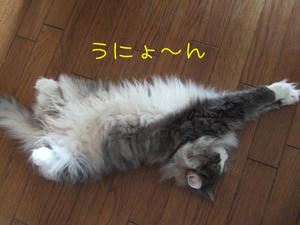 DSCF8794_edited-1.jpg