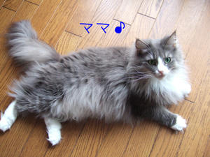DSCF8797_edited-1.jpg