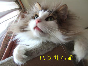 DSCF8853_edited-1.jpg