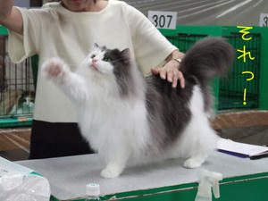 DSCF9012_edited-1.jpg