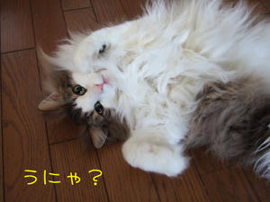 DSCF8901_edited-1.jpg