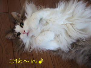 DSCF8906_edited-1.jpg