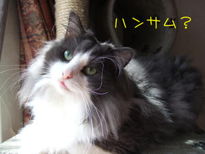 DSCF9044_edited-1.jpg