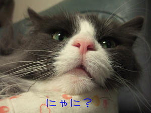 DSCF9053_edited-1.jpg