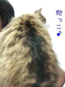 DSCF9015_edited-1.jpg