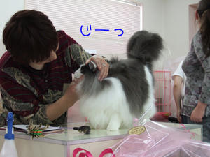 DSCF9103_edited-1.jpg