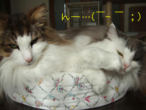 DSCF9110_edited-1.jpg