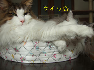 DSCF9111_edited-1.jpg