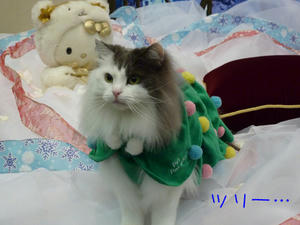 P1000773_edited-1.jpg